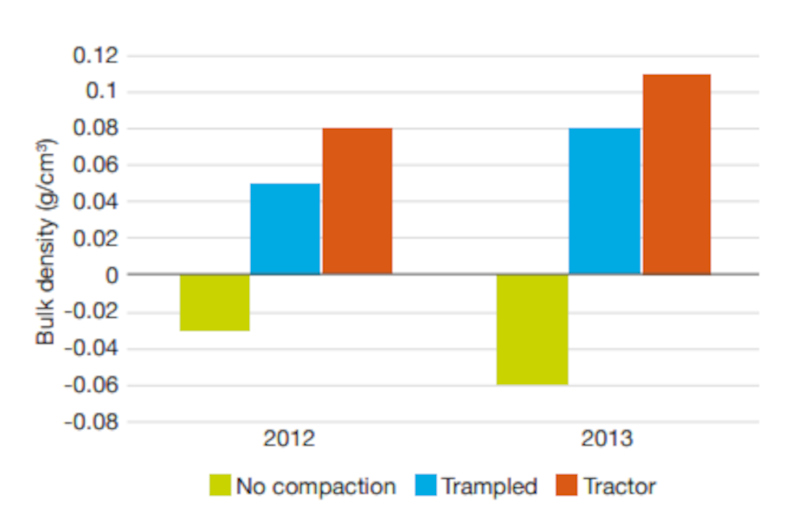 Figure of bulk density change in 2012 and 2013 on control, tractor- compacted and trampled plots.